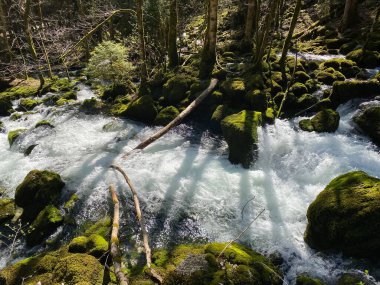 Orba Nehri 'nin kaynağı ve kanyonu Vallorbe - Vaud Kantonu, İsviçre (Kanton Waadt, Schweiz)