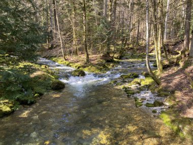 Orba Nehri 'nin kaynağı ve kanyonu Vallorbe - Vaud Kantonu, İsviçre (Kanton Waadt, Schweiz)