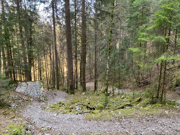 Trails for walking, hiking, sports and recreation in the canyon and along the Orbe river, Vallorbe - Canton of Vaud, Switzerland (Kanton Waadt, Schweiz)