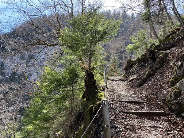 Trails for walking, hiking, sports and recreation in the canyon and along the Orbe river, Vallorbe - Canton of Vaud, Switzerland (Kanton Waadt, Schweiz)