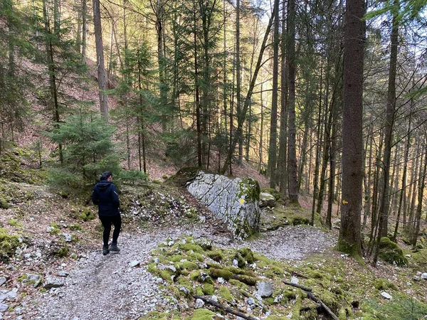 Trails for walking, hiking, sports and recreation in the canyon and along the Orbe river, Vallorbe - Canton of Vaud, Switzerland (Kanton Waadt, Schweiz)