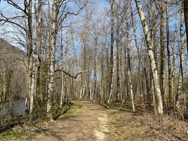 Trails for walking, hiking, sports and recreation in the canyon and along the Orbe river, Vallorbe - Canton of Vaud, Switzerland (Kanton Waadt, Schweiz)