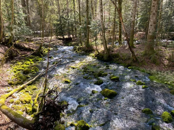 Flusszuflüsse Mit Karstquellen Bereich Der Quelle Des Flusses Orba Und — Stockfoto