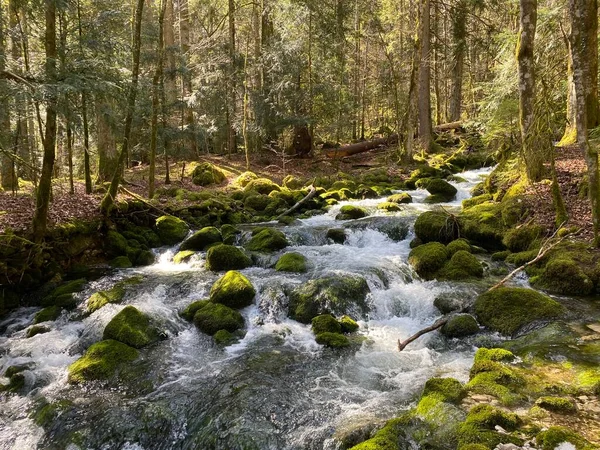 Torrent Přítoky Krasovými Prameny Oblasti Pramene Řeky Orby Jejím Kaňonu — Stock fotografie