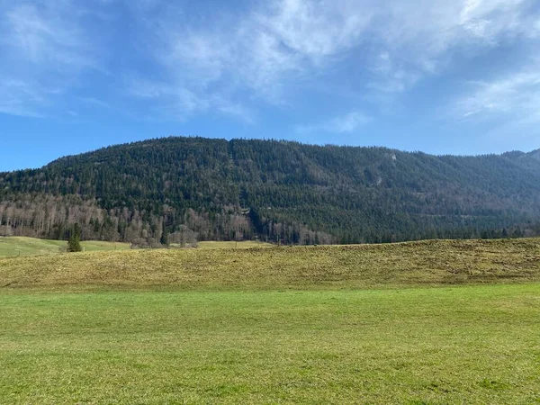 Vårbetesmarker Floden Orbes Dal Och Vid Foten Sluttningarna Juraberget Vallorbe — Stockfoto