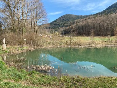 Eğitim yolu ve bataklık Grand Morcel (Sentier pedagogique et marais du Grand Morcel), Vallorbe - Vaud Kantonu, İsviçre (Kanton Waadt, Schweiz - Suisse)