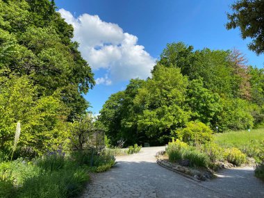 Zürih Üniversitesi Botanik Bahçesi veya Botanischer Garten der Universitaet Zuerich (Botanischer Garten der Universitat Zürih - Botanischer Garten der Universitaet Zuerich), İsviçre / Schweiz