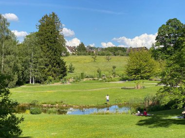Zürih Üniversitesi Botanik Bahçesi veya Botanischer Garten der Universitaet Zuerich (Botanischer Garten der Universitat Zürih - Botanischer Garten der Universitaet Zuerich), İsviçre / Schweiz