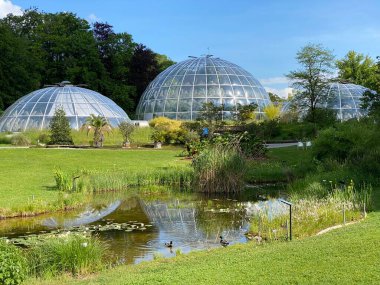 Zürih Üniversitesi Botanik Bahçesi veya Botanischer Garten der Universitaet Zuerich (Botanischer Garten der Universitat Zürih - Botanischer Garten der Universitaet Zuerich), İsviçre / Schweiz