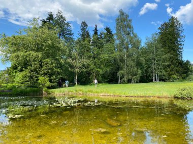 Zürih Üniversitesi Botanik Bahçesi veya Botanischer Garten der Universitaet Zuerich (Botanischer Garten der Universitat Zürih - Botanischer Garten der Universitaet Zuerich), İsviçre / Schweiz