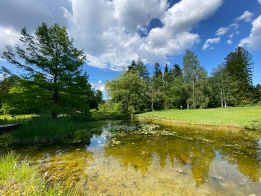 Zürih Üniversitesi Botanik Bahçesi veya Botanischer Garten der Universitaet Zuerich (Botanischer Garten der Universitat Zürih - Botanischer Garten der Universitaet Zuerich), İsviçre / Schweiz