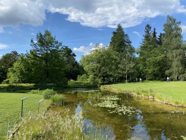 Zürih Üniversitesi Botanik Bahçesi veya Botanischer Garten der Universitaet Zuerich (Botanischer Garten der Universitat Zürih - Botanischer Garten der Universitaet Zuerich), İsviçre / Schweiz