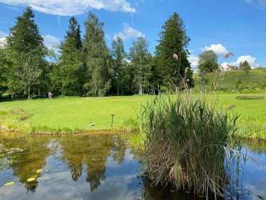 Zürih Üniversitesi Botanik Bahçesi veya Botanischer Garten der Universitaet Zuerich (Botanischer Garten der Universitat Zürih - Botanischer Garten der Universitaet Zuerich), İsviçre / Schweiz