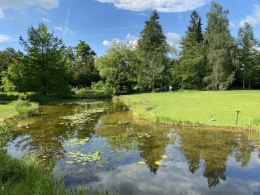 Zürih Üniversitesi Botanik Bahçesi veya Botanischer Garten der Universitaet Zuerich (Botanischer Garten der Universitat Zürih - Botanischer Garten der Universitaet Zuerich), İsviçre / Schweiz