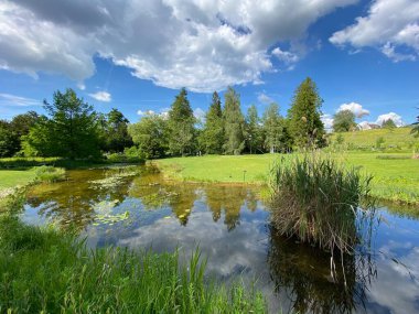 Zürih Üniversitesi Botanik Bahçesi veya Botanischer Garten der Universitaet Zuerich (Botanischer Garten der Universitat Zürih - Botanischer Garten der Universitaet Zuerich), İsviçre / Schweiz
