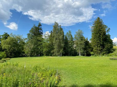 Zürih Üniversitesi Botanik Bahçesi veya Botanischer Garten der Universitaet Zuerich (Botanischer Garten der Universitat Zürih - Botanischer Garten der Universitaet Zuerich), İsviçre / Schweiz