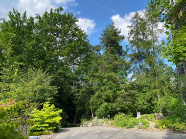 Zürih Üniversitesi Botanik Bahçesi veya Botanischer Garten der Universitaet Zuerich (Botanischer Garten der Universitat Zürih - Botanischer Garten der Universitaet Zuerich), İsviçre / Schweiz