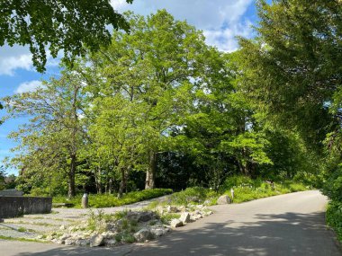 Zürih Üniversitesi Botanik Bahçesi veya Botanischer Garten der Universitaet Zuerich (Botanischer Garten der Universitat Zürih - Botanischer Garten der Universitaet Zuerich), İsviçre / Schweiz