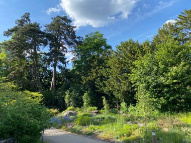 Zürih Üniversitesi Botanik Bahçesi veya Botanischer Garten der Universitaet Zuerich (Botanischer Garten der Universitat Zürih - Botanischer Garten der Universitaet Zuerich), İsviçre / Schweiz