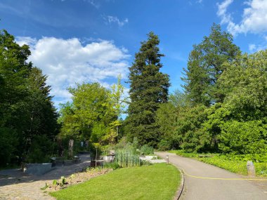 Zürih Üniversitesi Botanik Bahçesi veya Botanischer Garten der Universitaet Zuerich (Botanischer Garten der Universitat Zürih - Botanischer Garten der Universitaet Zuerich), İsviçre / Schweiz