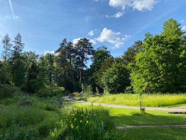 Zürih Üniversitesi Botanik Bahçesi veya Botanischer Garten der Universitaet Zuerich (Botanischer Garten der Universitat Zürih - Botanischer Garten der Universitaet Zuerich), İsviçre / Schweiz