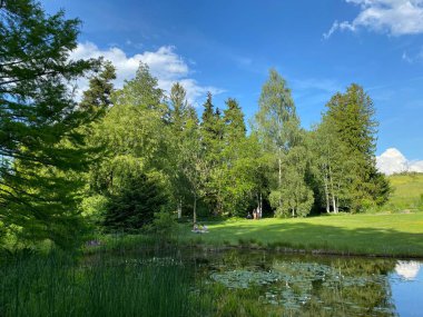 Zürih Üniversitesi Botanik Bahçesi veya Botanischer Garten der Universitaet Zuerich (Botanischer Garten der Universitat Zürih - Botanischer Garten der Universitaet Zuerich), İsviçre / Schweiz