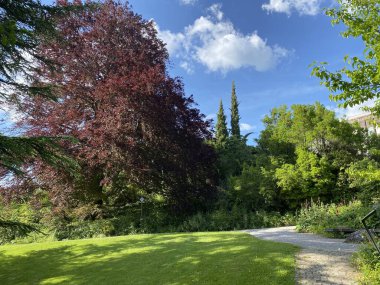 Zürih Üniversitesi Botanik Bahçesi veya Botanischer Garten der Universitaet Zuerich (Botanischer Garten der Universitat Zürih - Botanischer Garten der Universitaet Zuerich), İsviçre / Schweiz