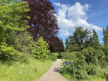 Zürih Üniversitesi Botanik Bahçesi veya Botanischer Garten der Universitaet Zuerich (Botanischer Garten der Universitat Zürih - Botanischer Garten der Universitaet Zuerich), İsviçre / Schweiz