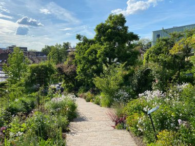 Zürih Üniversitesi Botanik Bahçesi veya Botanischer Garten der Universitaet Zuerich (Botanischer Garten der Universitat Zürih - Botanischer Garten der Universitaet Zuerich), İsviçre / Schweiz