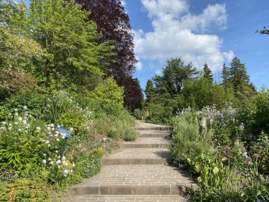 Zürih Üniversitesi Botanik Bahçesi veya Botanischer Garten der Universitaet Zuerich (Botanischer Garten der Universitat Zürih - Botanischer Garten der Universitaet Zuerich), İsviçre / Schweiz