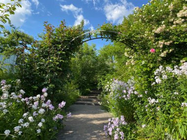 Zürih Üniversitesi Botanik Bahçesi veya Botanischer Garten der Universitaet Zuerich (Botanischer Garten der Universitat Zürih - Botanischer Garten der Universitaet Zuerich), İsviçre / Schweiz