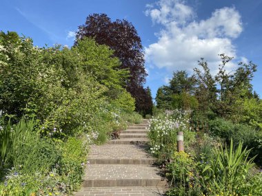 Zürih Üniversitesi Botanik Bahçesi veya Botanischer Garten der Universitaet Zuerich (Botanischer Garten der Universitat Zürih - Botanischer Garten der Universitaet Zuerich), İsviçre / Schweiz