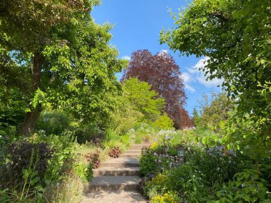 Zürih Üniversitesi Botanik Bahçesi veya Botanischer Garten der Universitaet Zuerich (Botanischer Garten der Universitat Zürih - Botanischer Garten der Universitaet Zuerich), İsviçre / Schweiz
