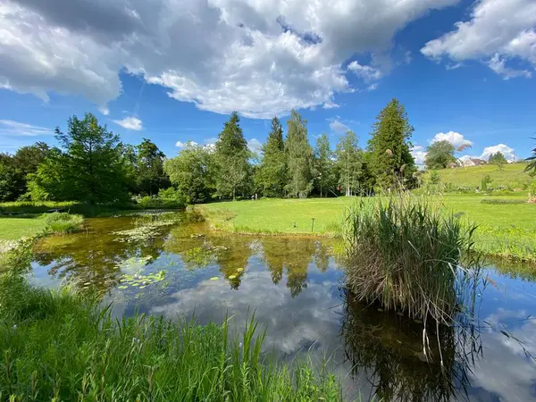 Zürih Üniversitesi Botanik Bahçesi veya Botanischer Garten der Universitaet Zuerich (Botanischer Garten der Universitat Zürih - Botanischer Garten der Universitaet Zuerich), İsviçre / Schweiz