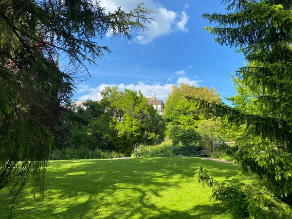 Zürih Üniversitesi Botanik Bahçesi veya Botanischer Garten der Universitaet Zuerich (Botanischer Garten der Universitat Zürih - Botanischer Garten der Universitaet Zuerich), İsviçre / Schweiz