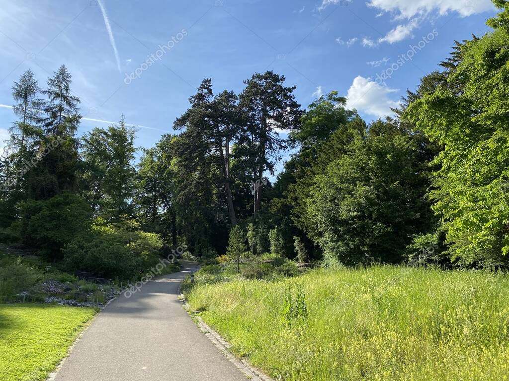 Jardín Botánico de la Universidad de Zúrich o Botanischer Garten der