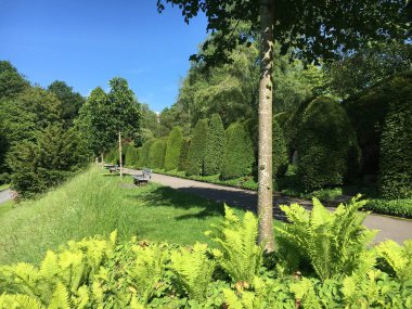 Saint Gallen Feldli Mezarlığı 'na park (Park auf dem Friedhof Feldli, Sankt Gallen), St. Gallen - İsviçre (Schweiz)