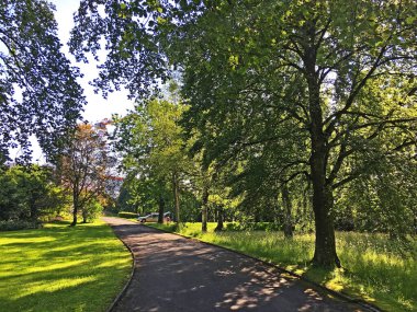 Saint Gallen Feldli Mezarlığı 'na park (Park auf dem Friedhof Feldli, Sankt Gallen), St. Gallen - İsviçre (Schweiz)
