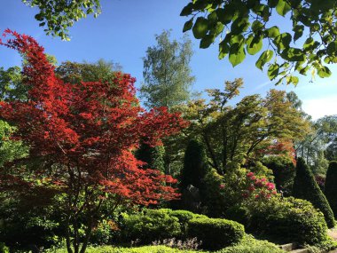 Saint Gallen Feldli Mezarlığı 'na park (Park auf dem Friedhof Feldli, Sankt Gallen), St. Gallen - İsviçre (Schweiz)