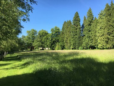 Saint Gallen Feldli Mezarlığı 'na park (Park auf dem Friedhof Feldli, Sankt Gallen), St. Gallen - İsviçre (Schweiz)