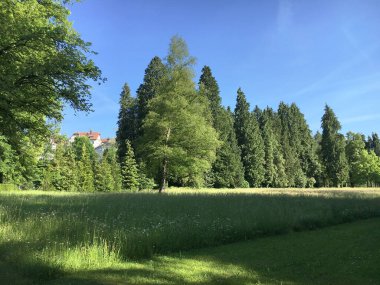 Saint Gallen Feldli Mezarlığı 'na park (Park auf dem Friedhof Feldli, Sankt Gallen), St. Gallen - İsviçre (Schweiz)