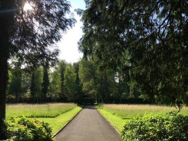 Saint Gallen Feldli Mezarlığı 'na park (Park auf dem Friedhof Feldli, Sankt Gallen), St. Gallen - İsviçre (Schweiz)