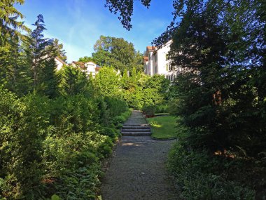 Saint Gallen Feldli Mezarlığı 'na park (Park auf dem Friedhof Feldli, Sankt Gallen), St. Gallen - İsviçre (Schweiz)
