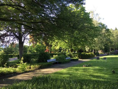 Saint Gallen Feldli Mezarlığı 'na park (Park auf dem Friedhof Feldli, Sankt Gallen), St. Gallen - İsviçre (Schweiz)