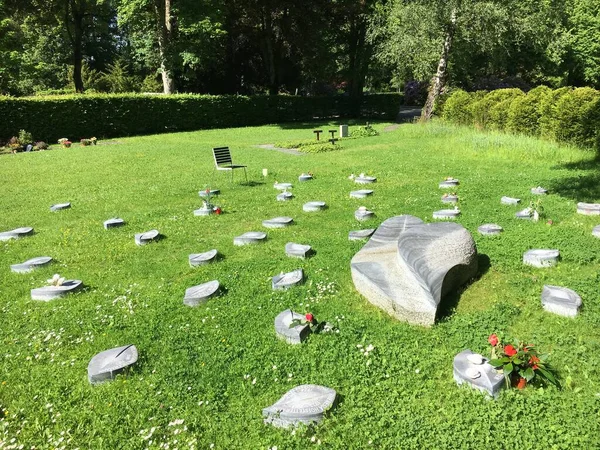 Paisaje Del Cementerio Feldli Saint Gallen Landschaft Des Friedhofs Feldli — Foto de Stock