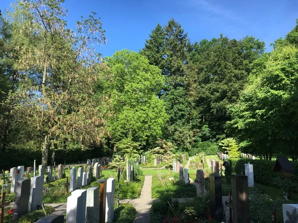 Paisaje Del Cementerio Feldli Saint Gallen Landschaft Des Friedhofs Feldli —  Fotos de Stock