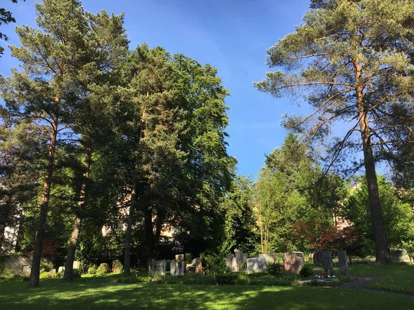 Landscape Feldli Cemetery Saint Gallen Landschaft Des Friedhofs Feldli Sankt — Stock Photo, Image