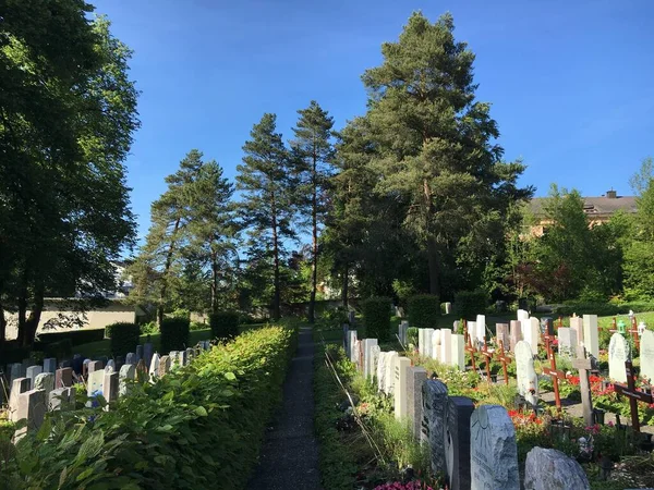 Paisaje Del Cementerio Feldli Saint Gallen Landschaft Des Friedhofs Feldli — Foto de Stock