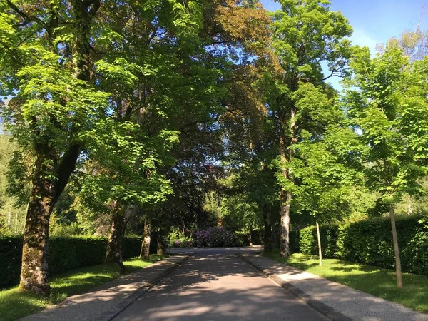 Park Auf Dem Friedhof Feldli Sankt Gallen Gallen Schweiz Schweiz — Stockfoto