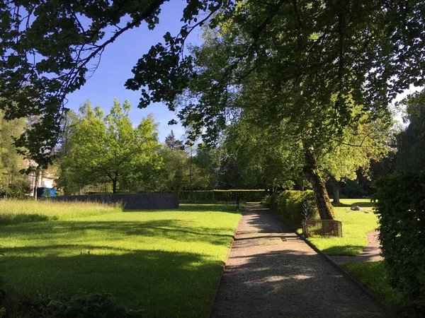 Parc Cimetière Feldli Saint Gall Parc Auf Dem Friedhof Feldli — Photo